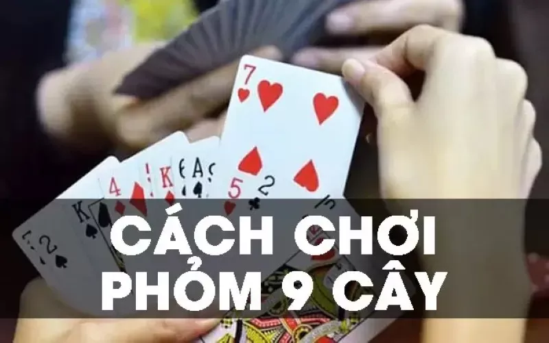 Cách đánh phỏm 9 cây đơn giản, dễ thắng cho người mới bắt đầu.