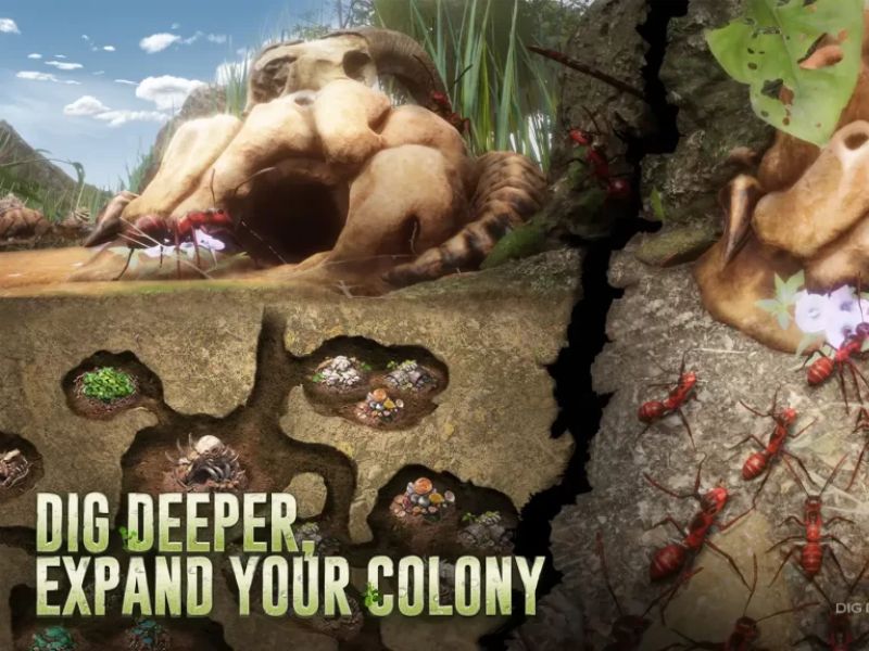 Ant Legion Xây dựng cơ sở