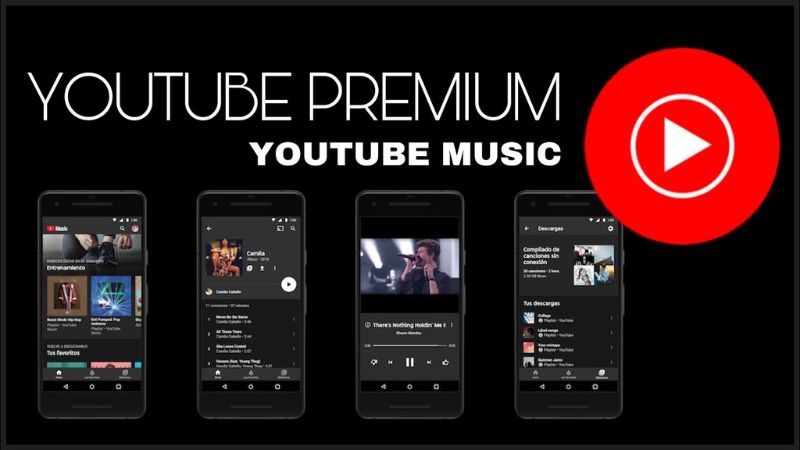 Các Đặc Quyền Từ Phiên Bản YouTube Music Mod APK 